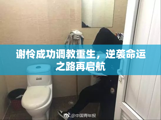 谢怜成功调教重生，逆袭命运之路再启航