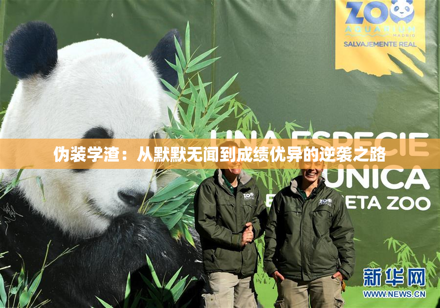 伪装学渣：从默默无闻到成绩优异的逆袭之路