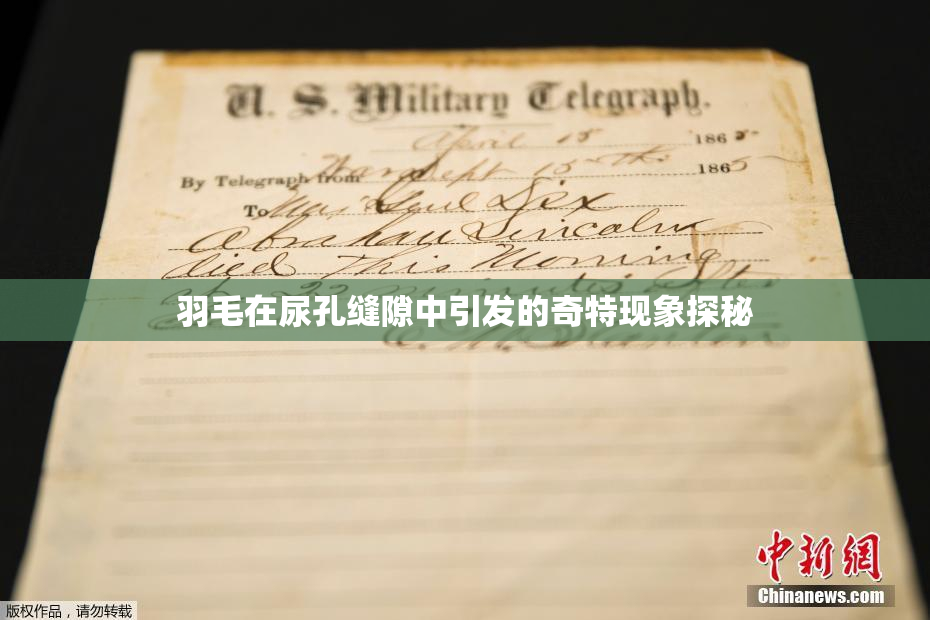 羽毛在尿孔缝隙中引发的奇特现象探秘
