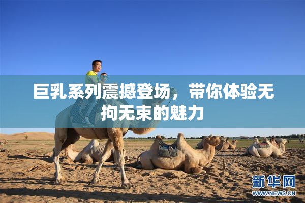巨乳系列震撼登场，带你体验无拘无束的魅力