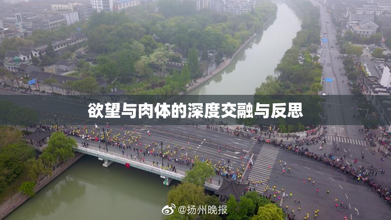欲望与肉体的深度交融与反思