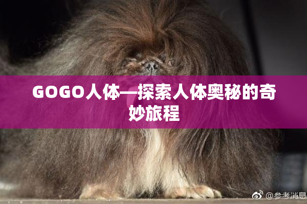 GOGO人体—探索人体奥秘的奇妙旅程