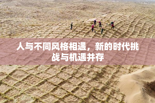 人与不同风格相遇，新的时代挑战与机遇并存