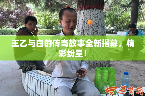 王乙与白的传奇故事全新揭幕，精彩纷呈！