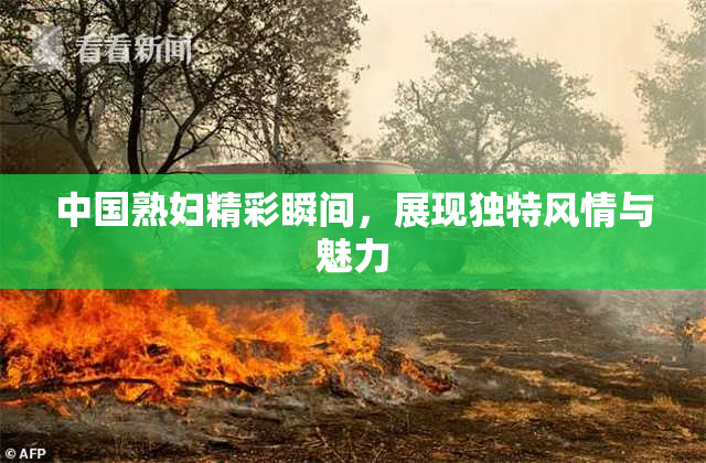 中国熟妇精彩瞬间，展现独特风情与魅力