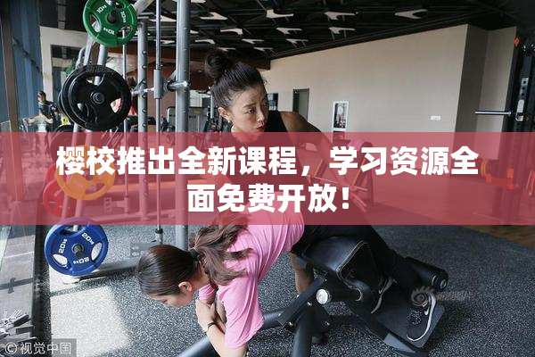 樱校推出全新课程，学习资源全面免费开放！