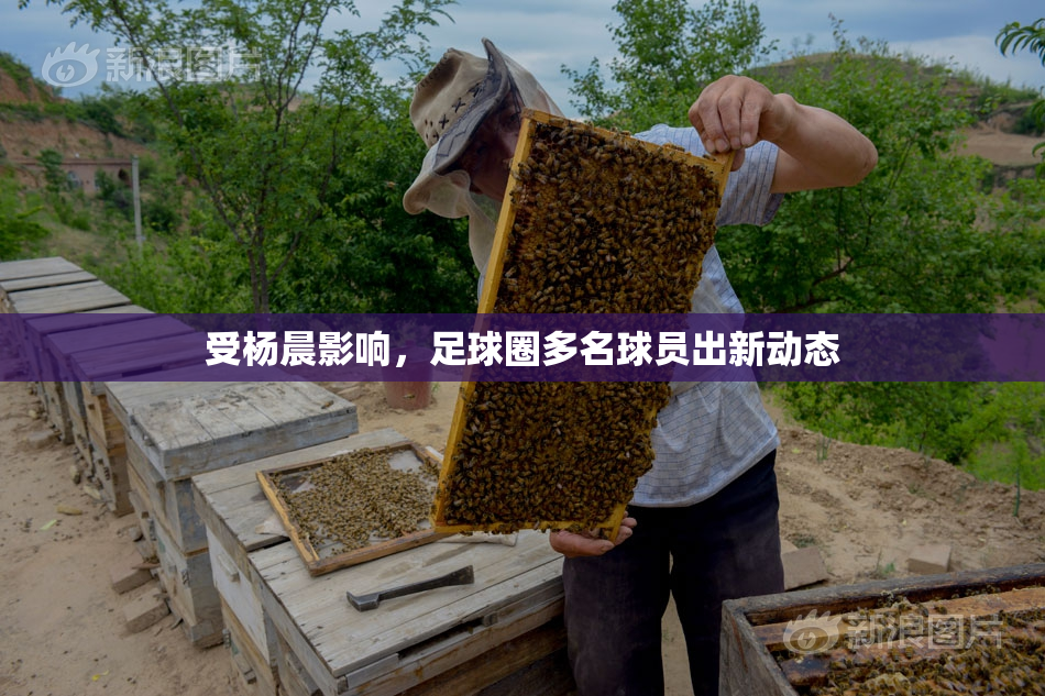受杨晨影响，足球圈多名球员出新动态