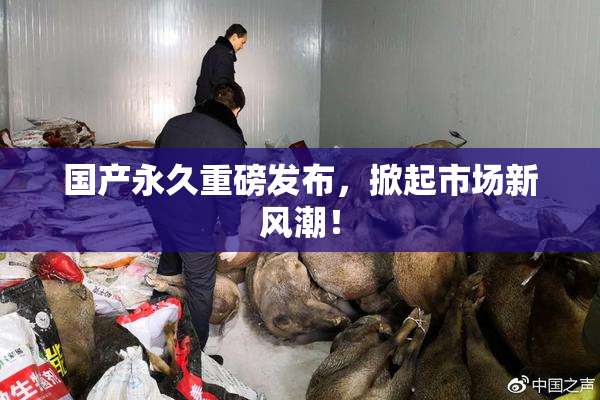 国产永久重磅发布，掀起市场新风潮！