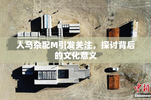 人马杂配M引发关注，探讨背后的文化意义