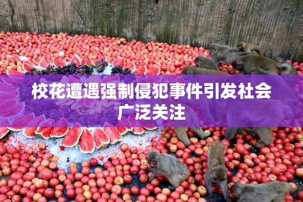 校花遭遇强制侵犯事件引发社会广泛关注
