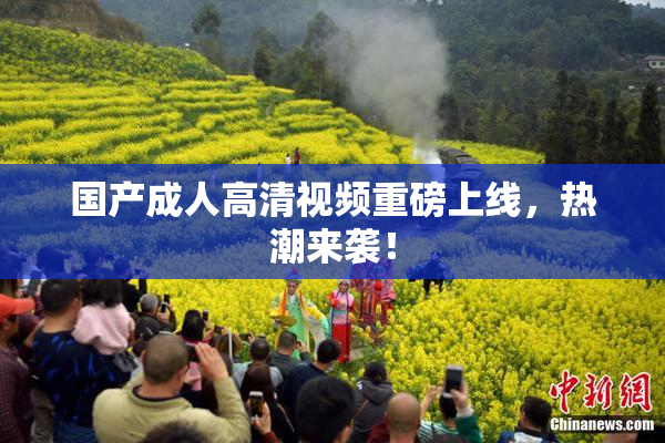 国产成人高清视频重磅上线，热潮来袭！