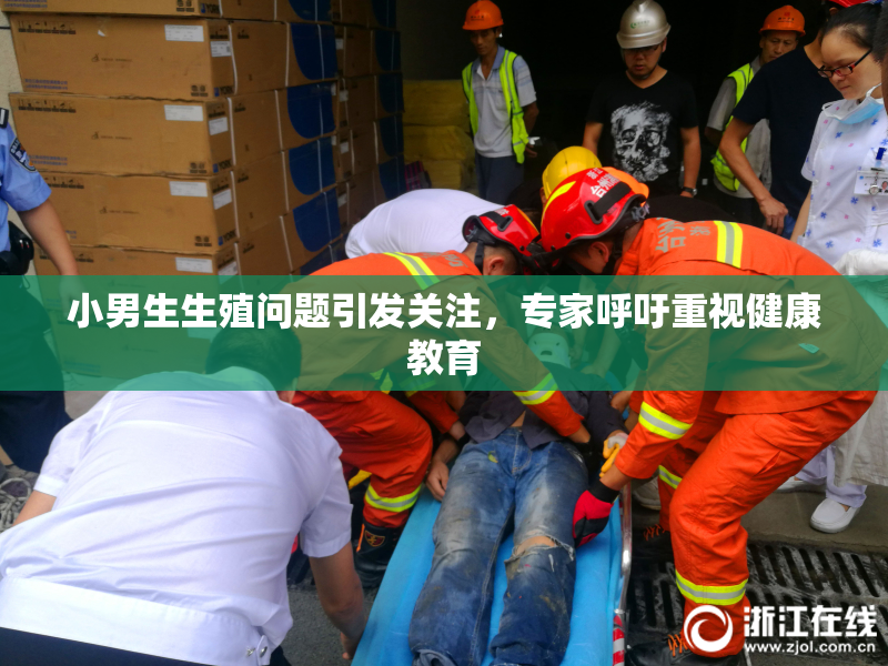小男生生殖问题引发关注，专家呼吁重视健康教育