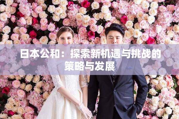 日本公和：探索新机遇与挑战的策略与发展