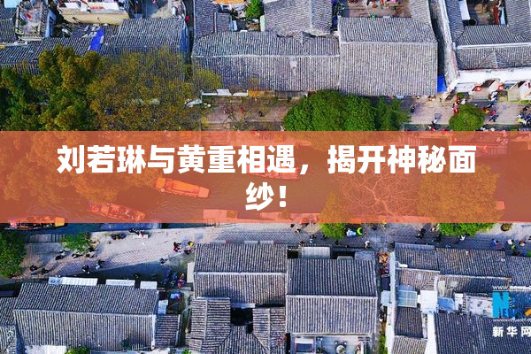 刘若琳与黄重相遇，揭开神秘面纱！