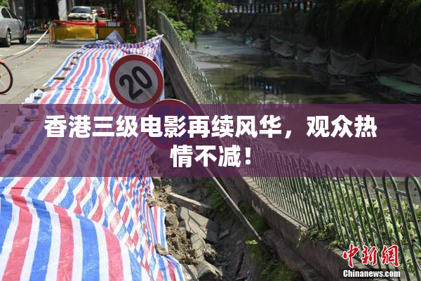 香港三级电影再续风华，观众热情不减！
