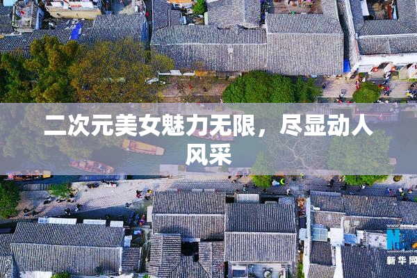 二次元美女魅力无限，尽显动人风采
