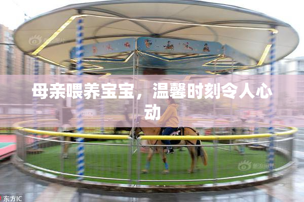 母亲喂养宝宝，温馨时刻令人心动