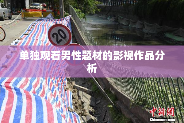 单独观看男性题材的影视作品分析