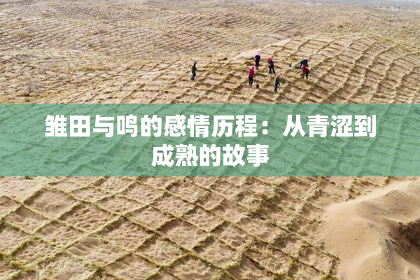 雏田与鸣的感情历程：从青涩到成熟的故事