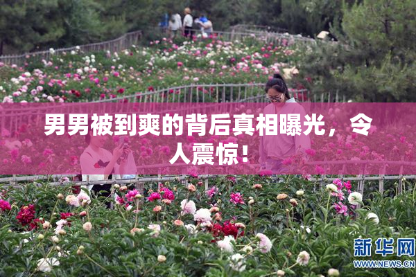 男男被到爽的背后真相曝光，令人震惊！