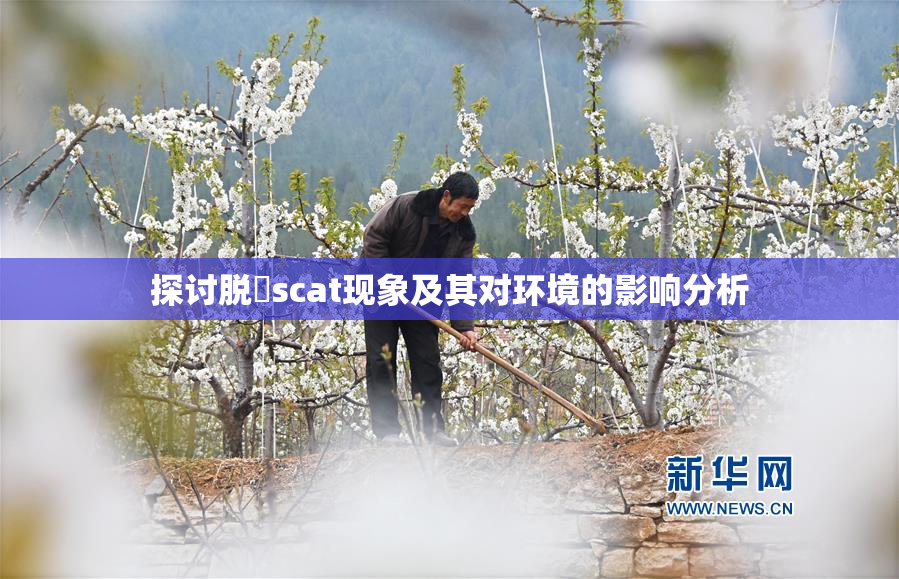 探讨脱糞scat现象及其对环境的影响分析
