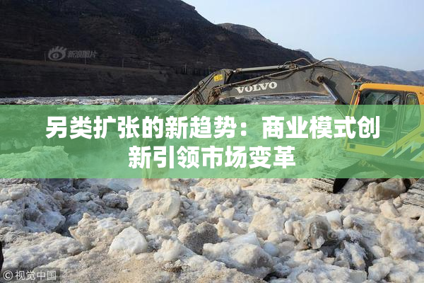 另类扩张的新趋势：商业模式创新引领市场变革