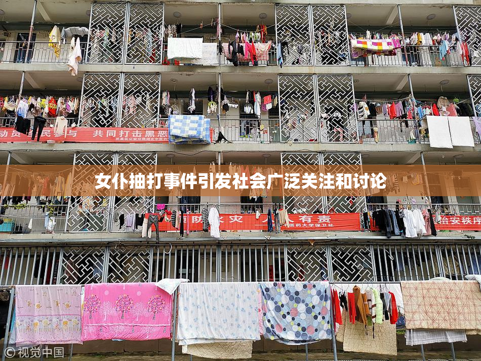 女仆抽打事件引发社会广泛关注和讨论