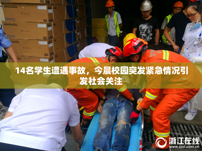 14名学生遭遇事故，今晨校园突发紧急情况引发社会关注