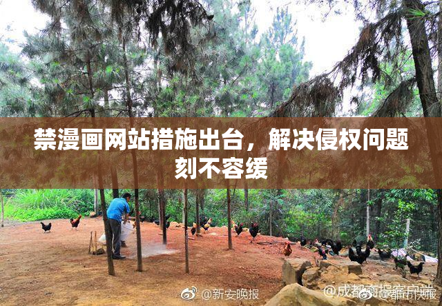 禁漫画网站措施出台，解决侵权问题刻不容缓