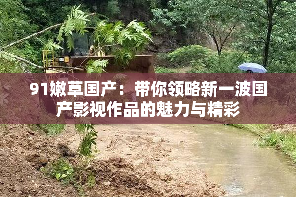 91嫩草国产：带你领略新一波国产影视作品的魅力与精彩