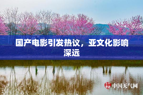 国产电影引发热议，亚文化影响深远
