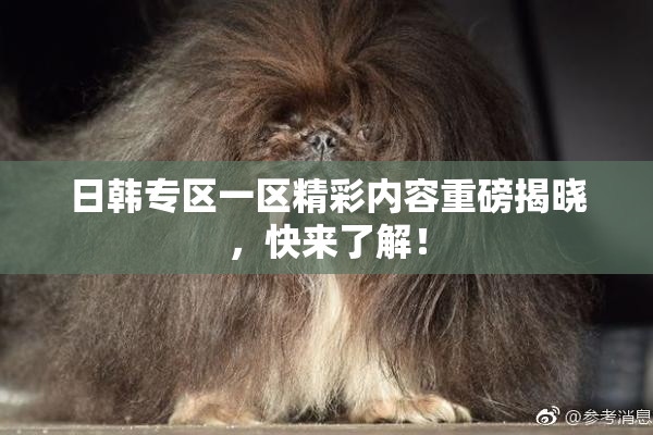 日韩专区一区精彩内容重磅揭晓，快来了解！