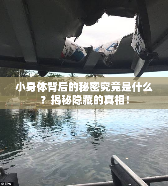 小身体背后的秘密究竟是什么？揭秘隐藏的真相！