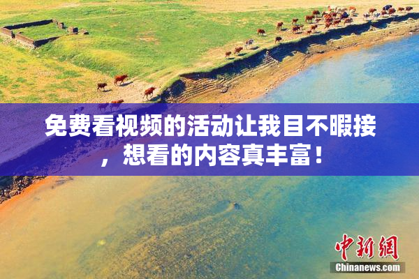 免费看视频的活动让我目不暇接，想看的内容真丰富！
