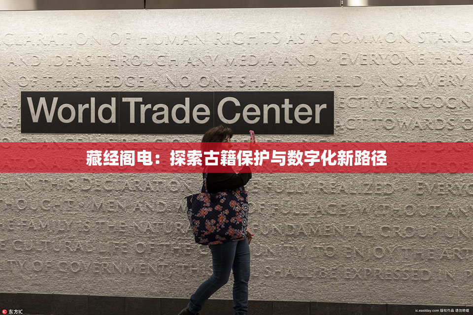 藏经阁电：探索古籍保护与数字化新路径