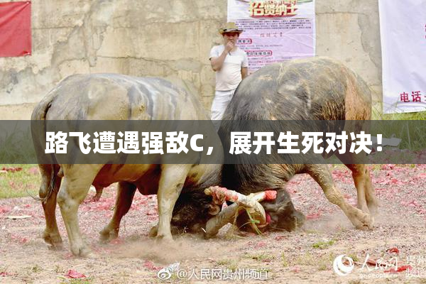 路飞遭遇强敌C，展开生死对决！