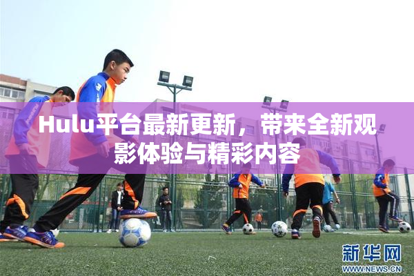 Hulu平台最新更新，带来全新观影体验与精彩内容