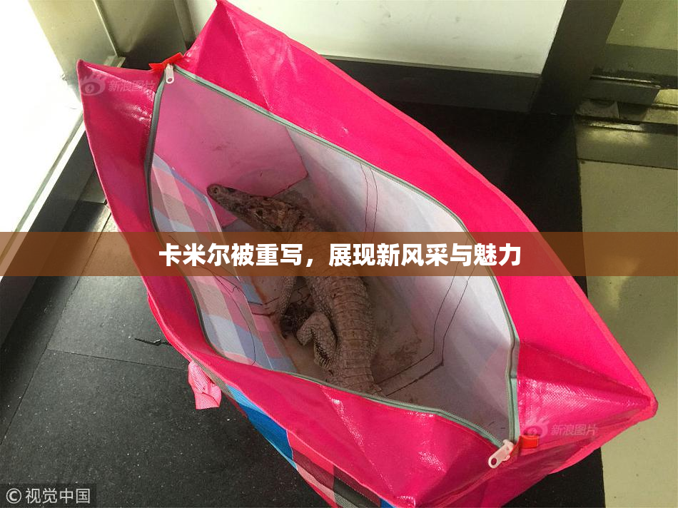 卡米尔被重写，展现新风采与魅力