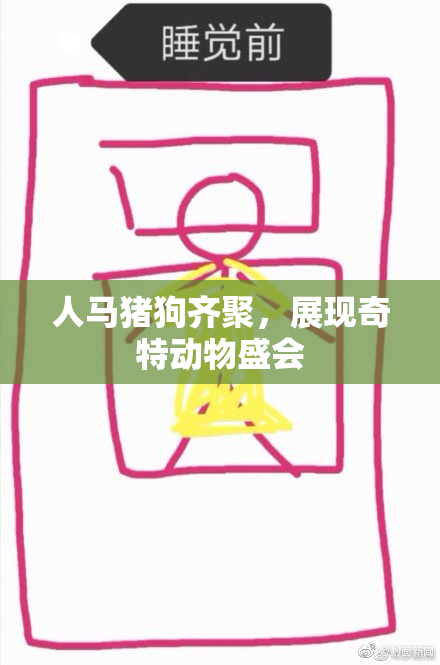人马猪狗齐聚，展现奇特动物盛会