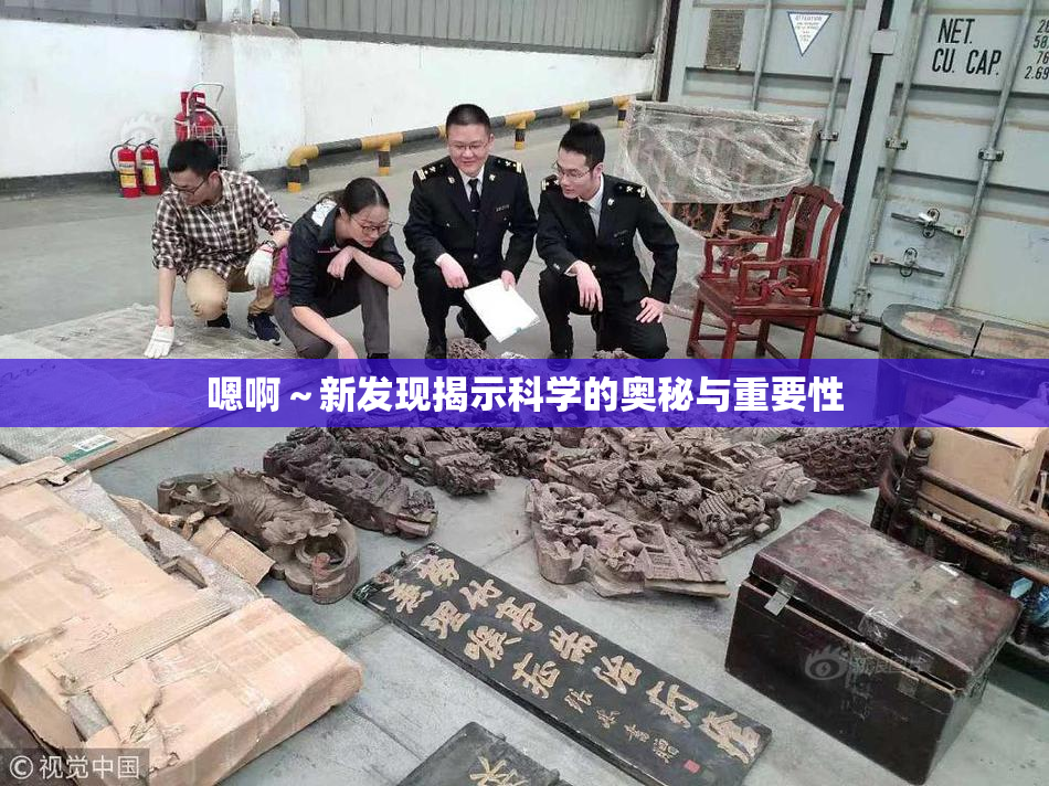 嗯啊～新发现揭示科学的奥秘与重要性