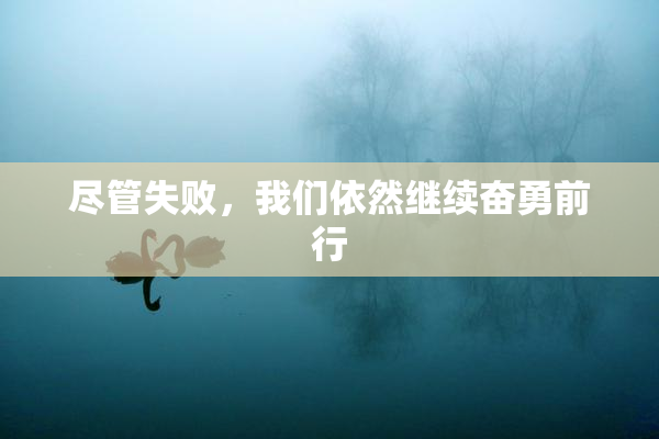 尽管失败，我们依然继续奋勇前行