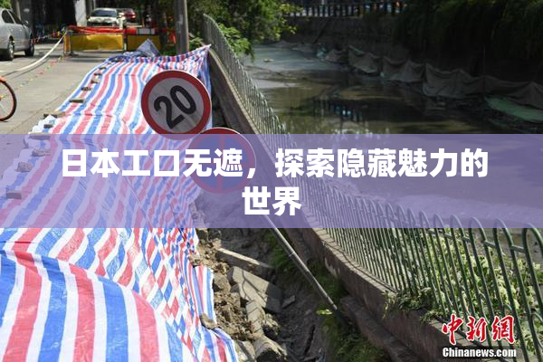 日本工口无遮，探索隐藏魅力的世界