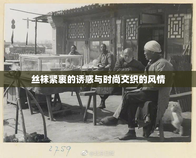 丝袜紧裹的诱惑与时尚交织的风情