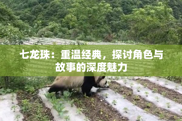 七龙珠：重温经典，探讨角色与故事的深度魅力