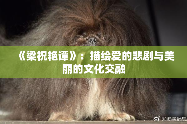 《梁祝艳谭》：描绘爱的悲剧与美丽的文化交融