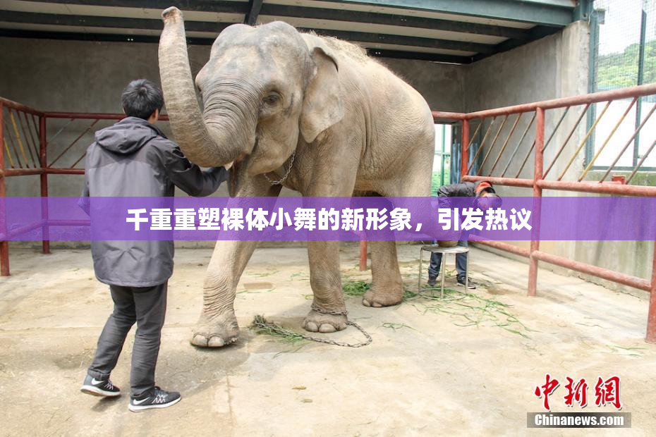 千重重塑裸体小舞的新形象，引发热议