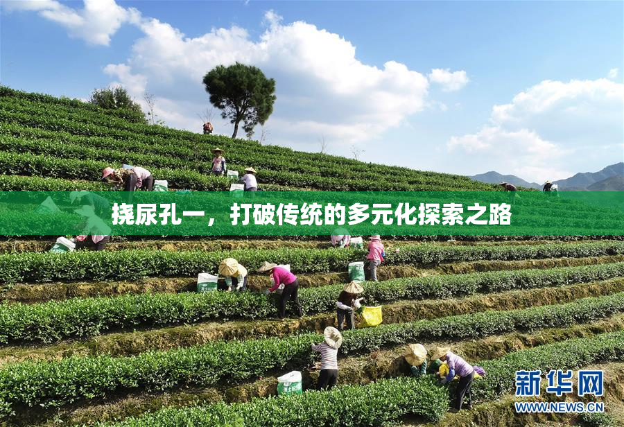 挠尿孔一，打破传统的多元化探索之路