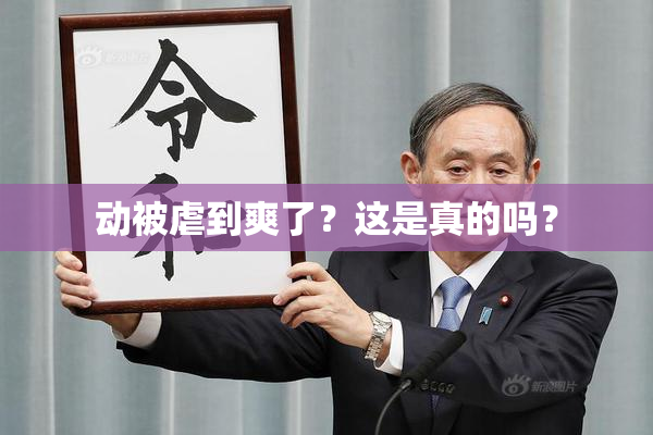 动被虐到爽了？这是真的吗？