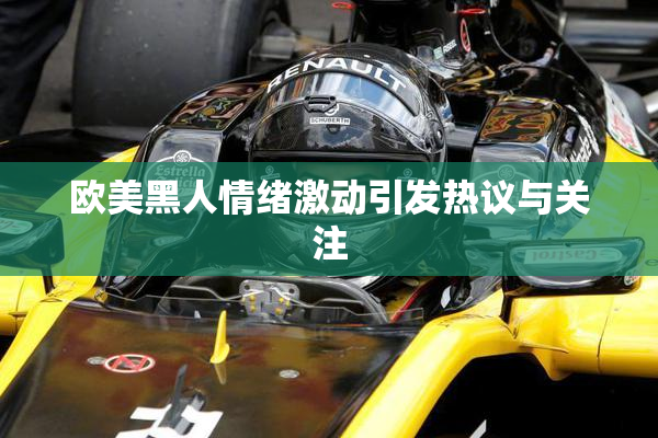 欧美黑人情绪激动引发热议与关注