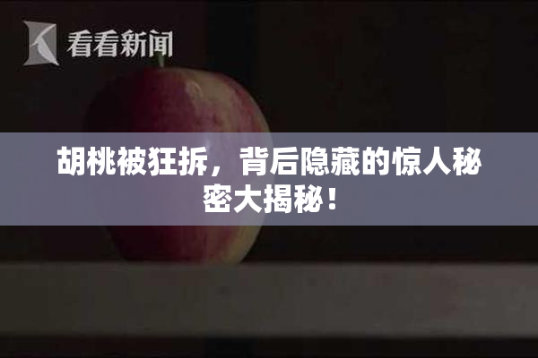 胡桃被狂拆，背后隐藏的惊人秘密大揭秘！